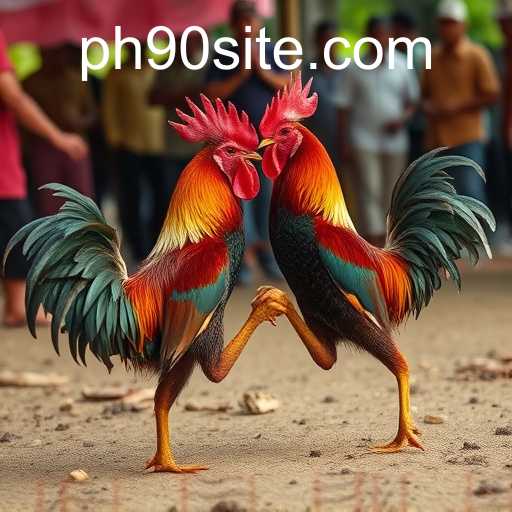 poker heads-up um contra um